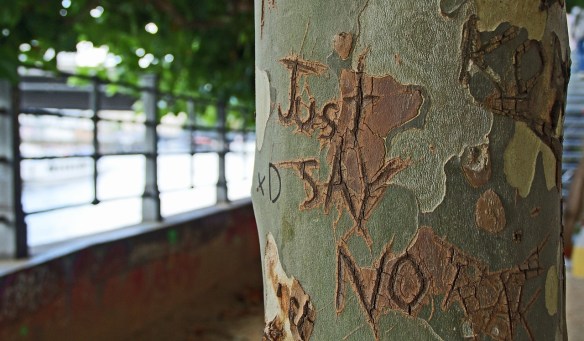 Tree with just say no