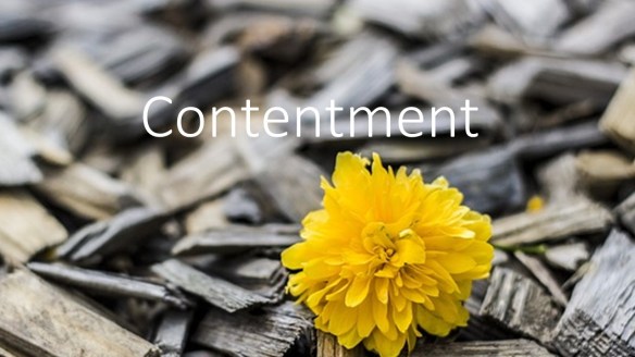 Contentment