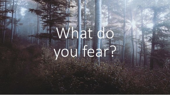 What do you fear