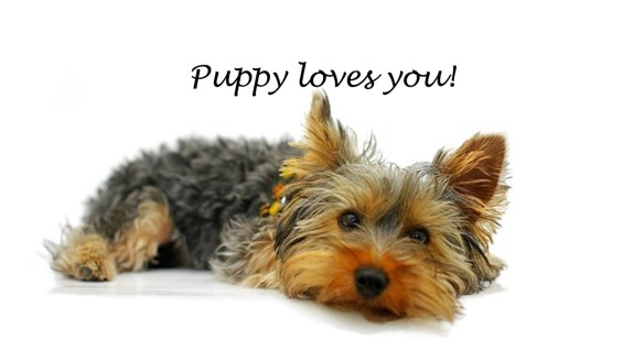 puppy makes you feel good