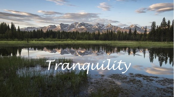 Tranquility. 