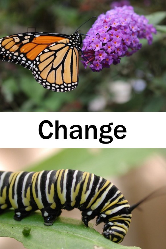 Change