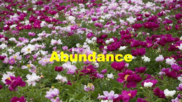 Having Abundance