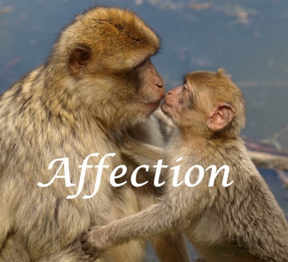 Affectionate