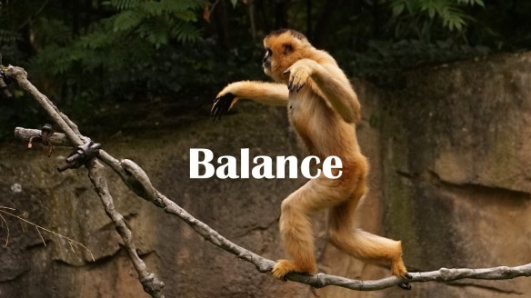 stay in balance
