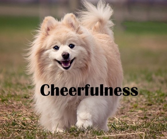 Cheerfulness