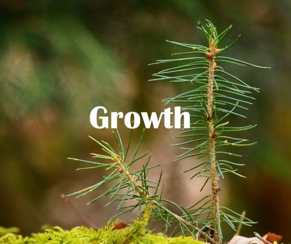 Growth 