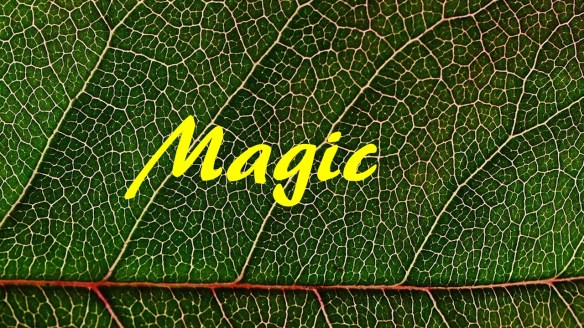 Magic