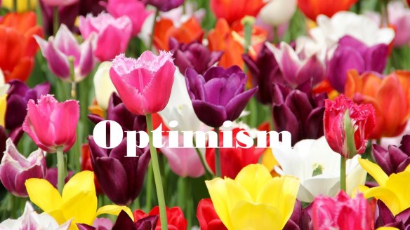 Optimism