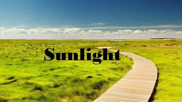 walking in the sunlight.