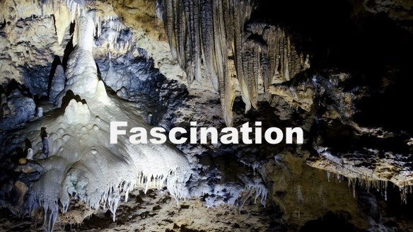 Fascinating picture. 