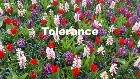 Tolerance.