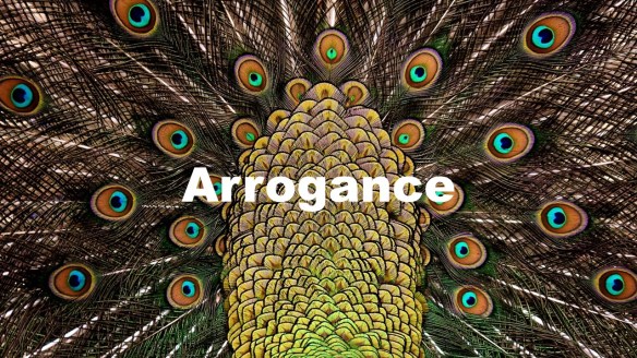 narcissism, smugness