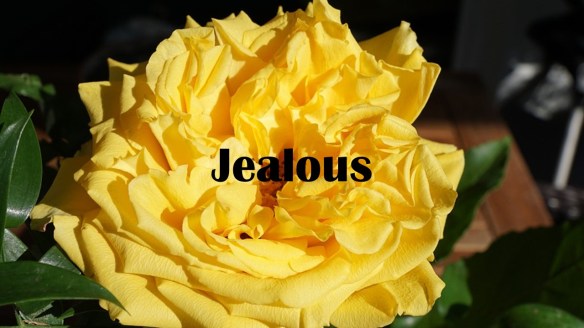 Jealous
