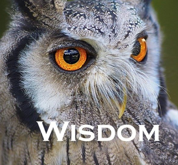Wisdom.