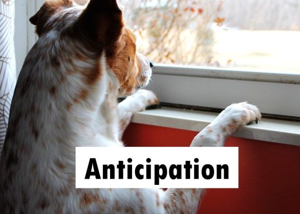 Anticipation