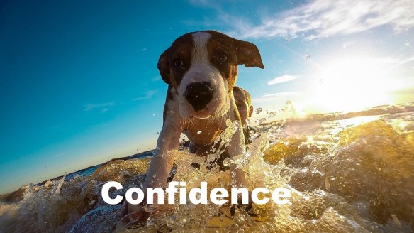 Confidence