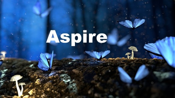 Aspire 