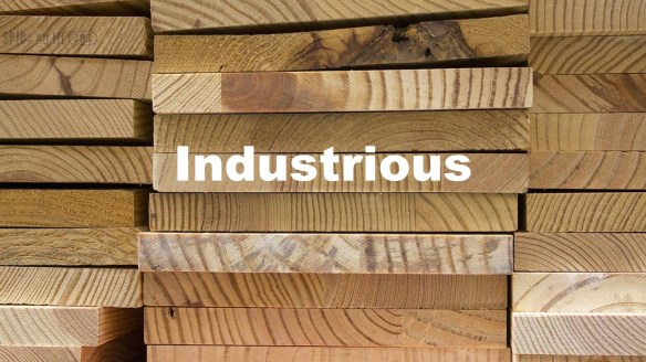 Industrious. | counselorssoapbox